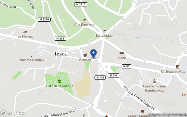 rapini immobilier