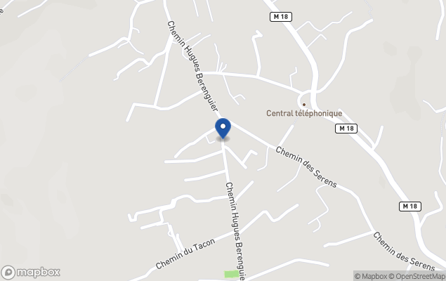 martine masson immobilier